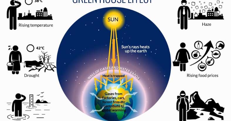 Effect Global Warming Terhadap Pertanian