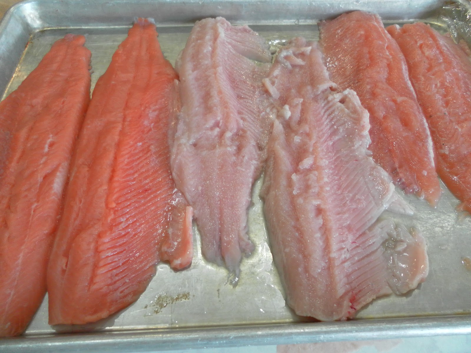 Nine for Dinner How to Fillet a Fish