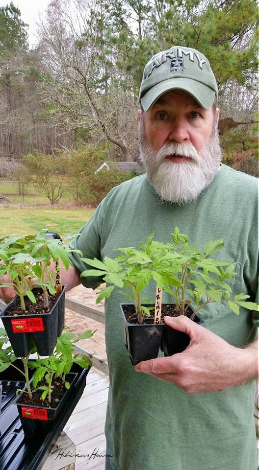 Hibiscus House Spotlight Paul Nelson Quite a Gardener Quite a Man