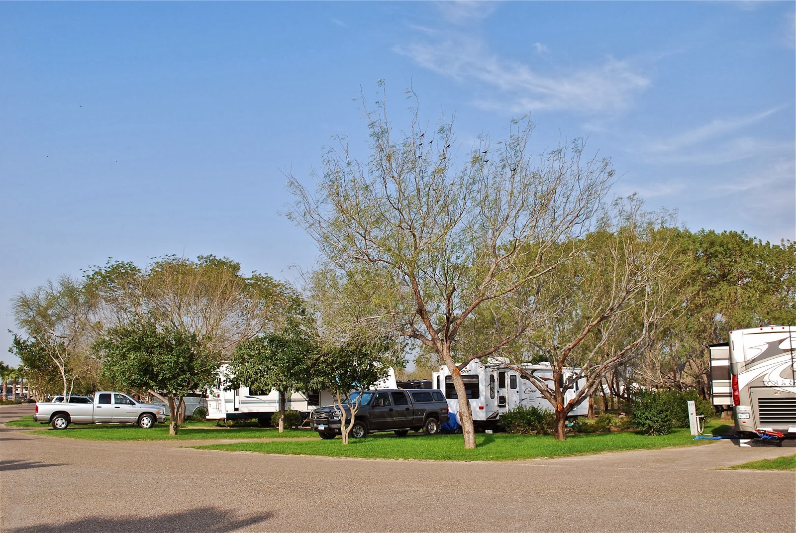 BLUE SKY AHEAD Bentsen Palm Village RV Resort, Texas