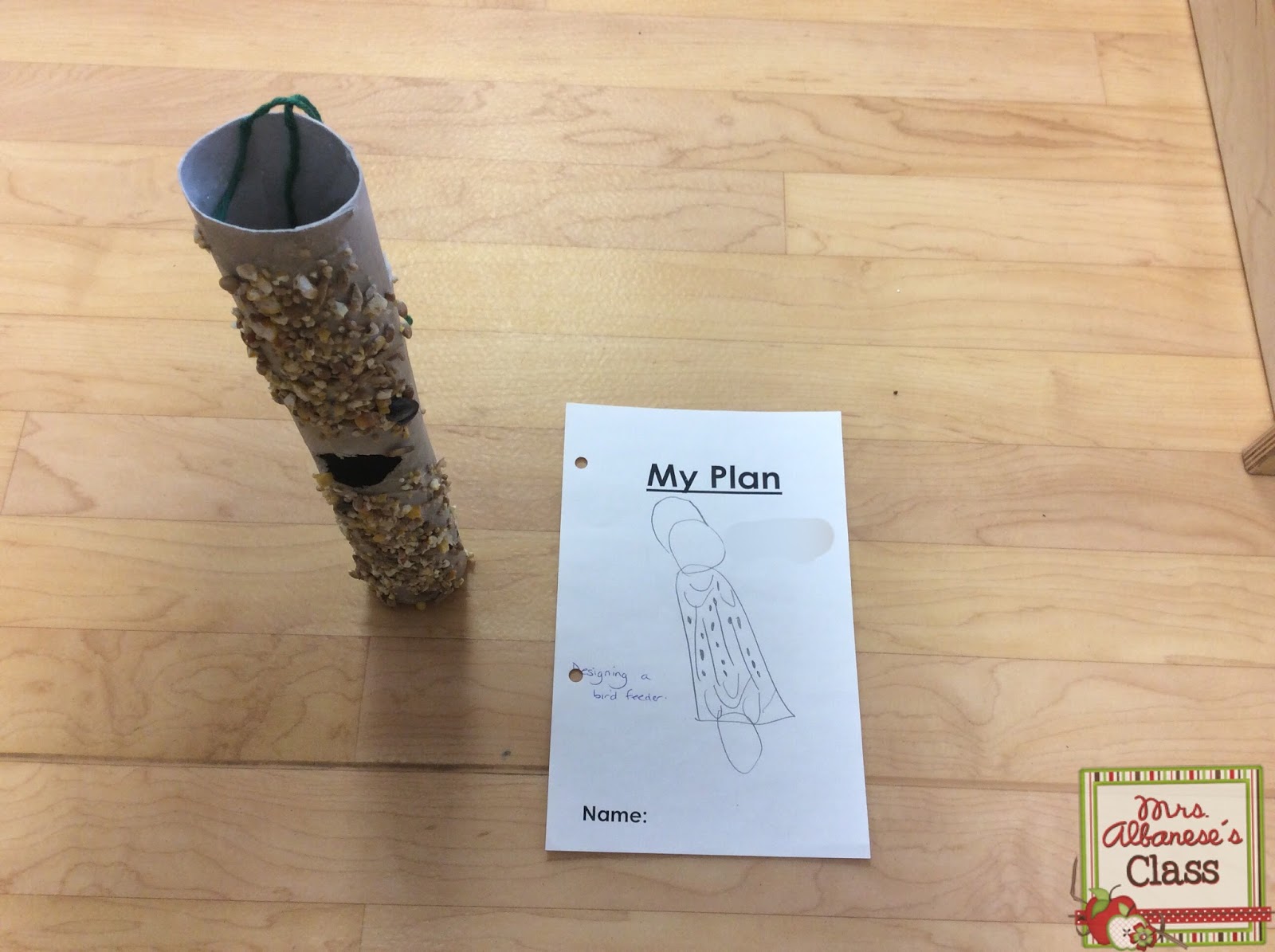 Our Bird Inquiry Mrs. Albanese's Kindergarten Class