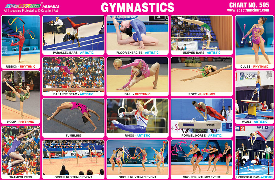 Gymnastics — Spectrum Movement