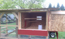 chicken coop ever simple cleaning door inside main easy
