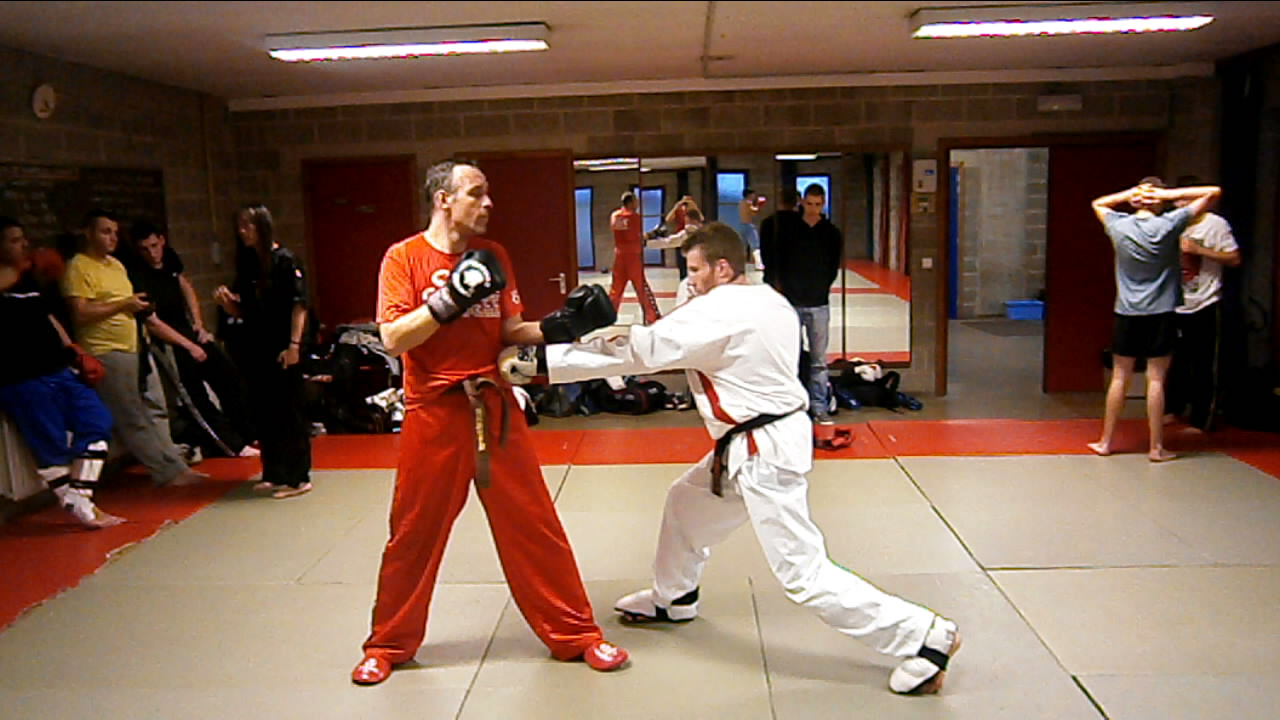 TAEKWONDO PERFORMANCE TECHNIQUES TAEKWONDO I.T.F. LES COUPS DE POINGS (PARTIE 2)