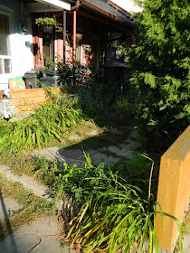 Brockton Village summer garden cleanup before by Paul Jung Gardening Services Toronto