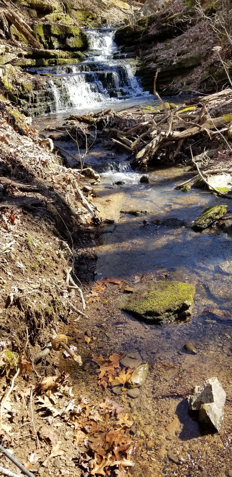 Rick's Hiking Blog Train Trestle Falls, Ozarks near Cass, Arkansas