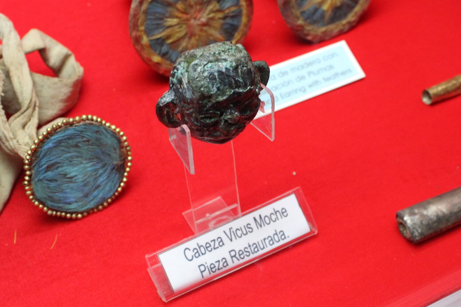 museum of gold shrunken head