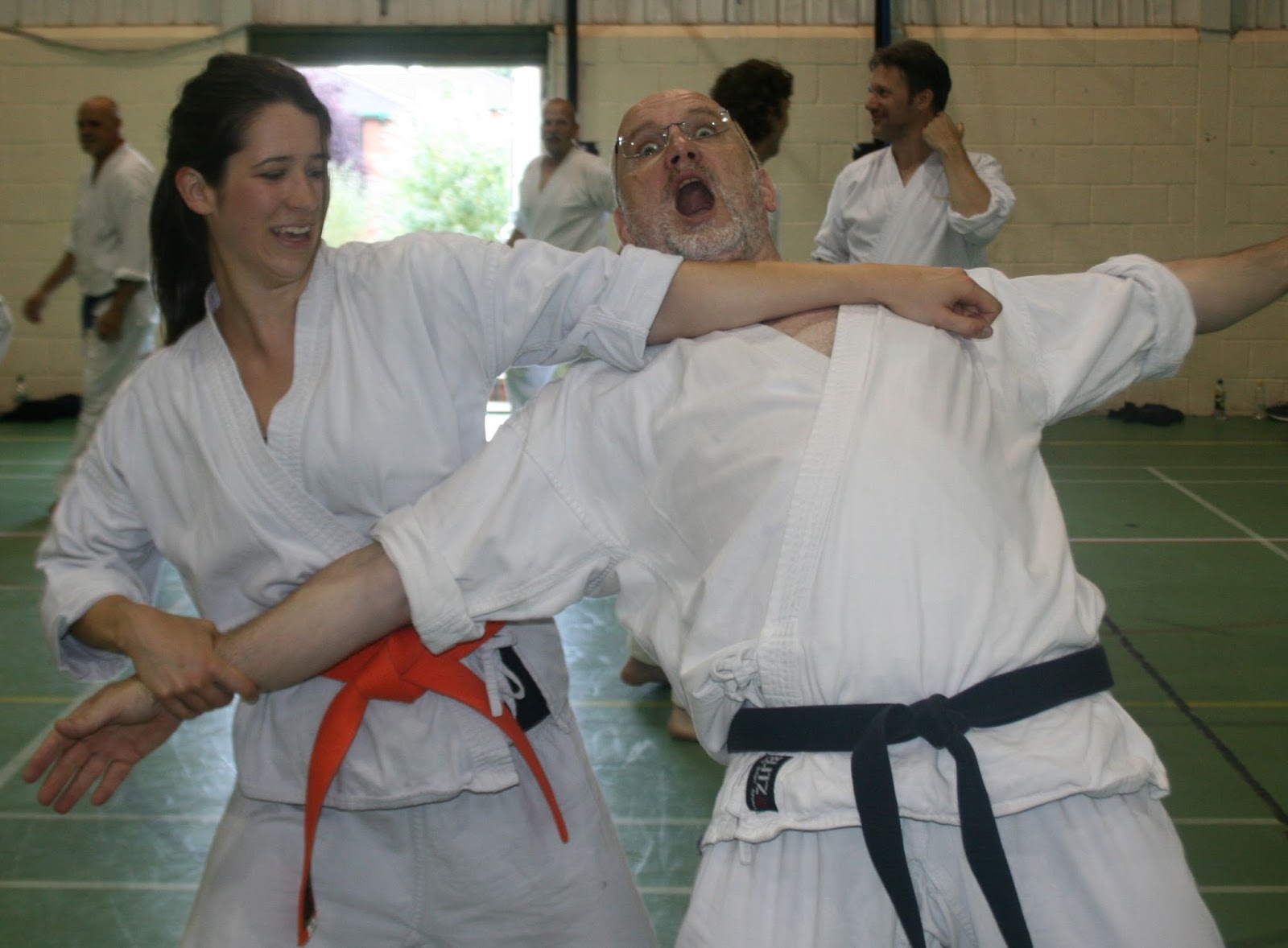 Alternative Karate ‘KarateDo My Way of Life.’ A 2nd kyu Perspective