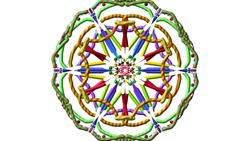 flowers for flower lovers.: Arts designs.