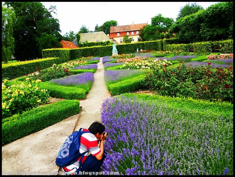 Dari Kelate Ke Copenhagen Spontaneous Thursday Mat Bunga?