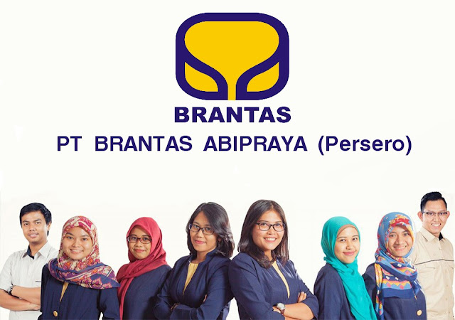 Hasil gambar untuk PT Brantas Abipraya (Persero)