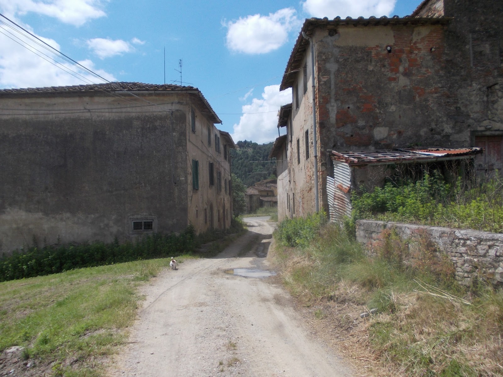 I sentieri di Maresco MONTELUPOCAMAIONI CAPRAIA MONTELUPO anello.
