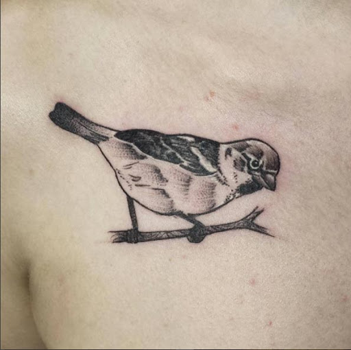 Este blackwork pardal