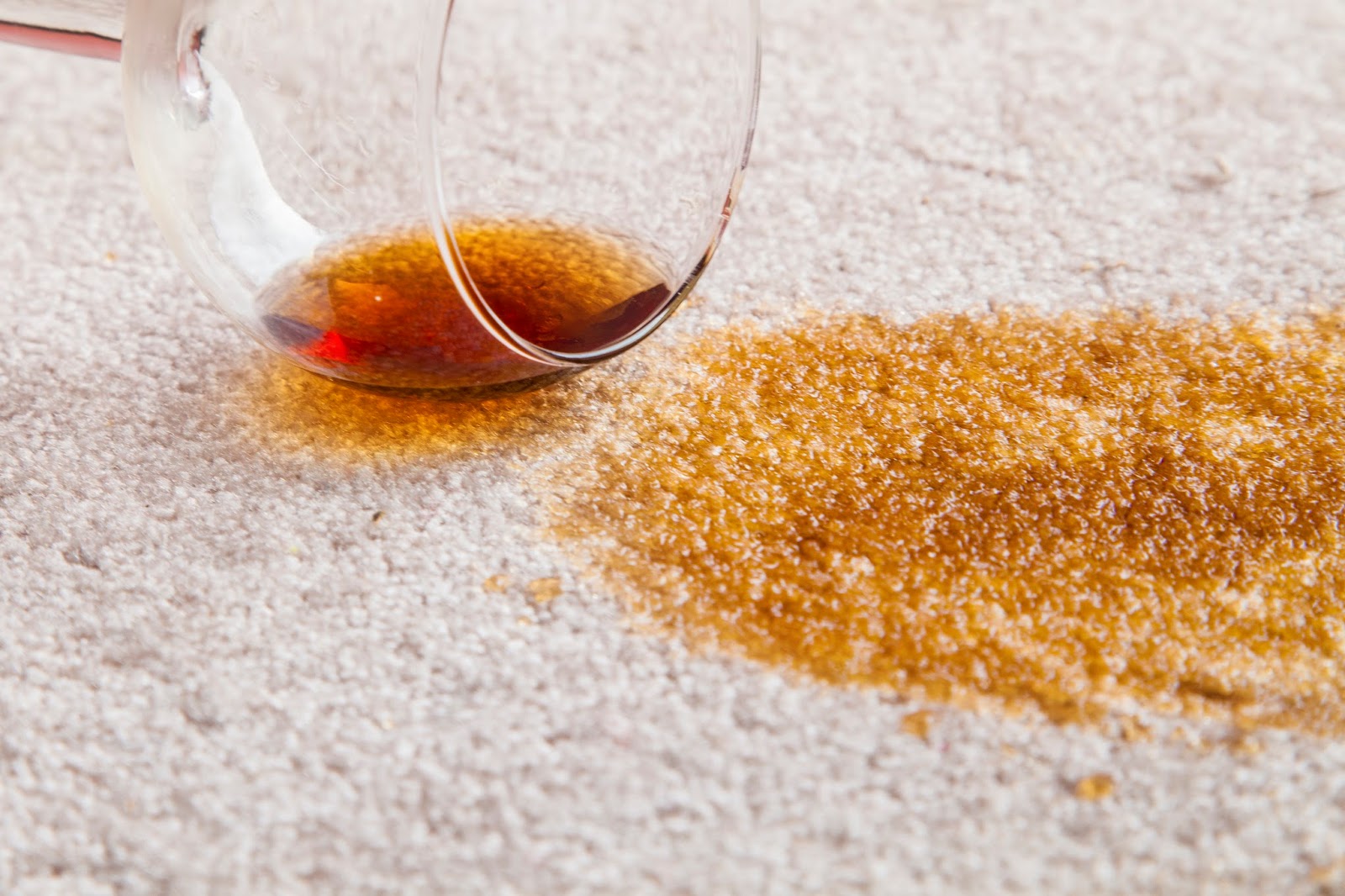 True Blue Carpet Cleaning A Guide To Core Elements In Professional