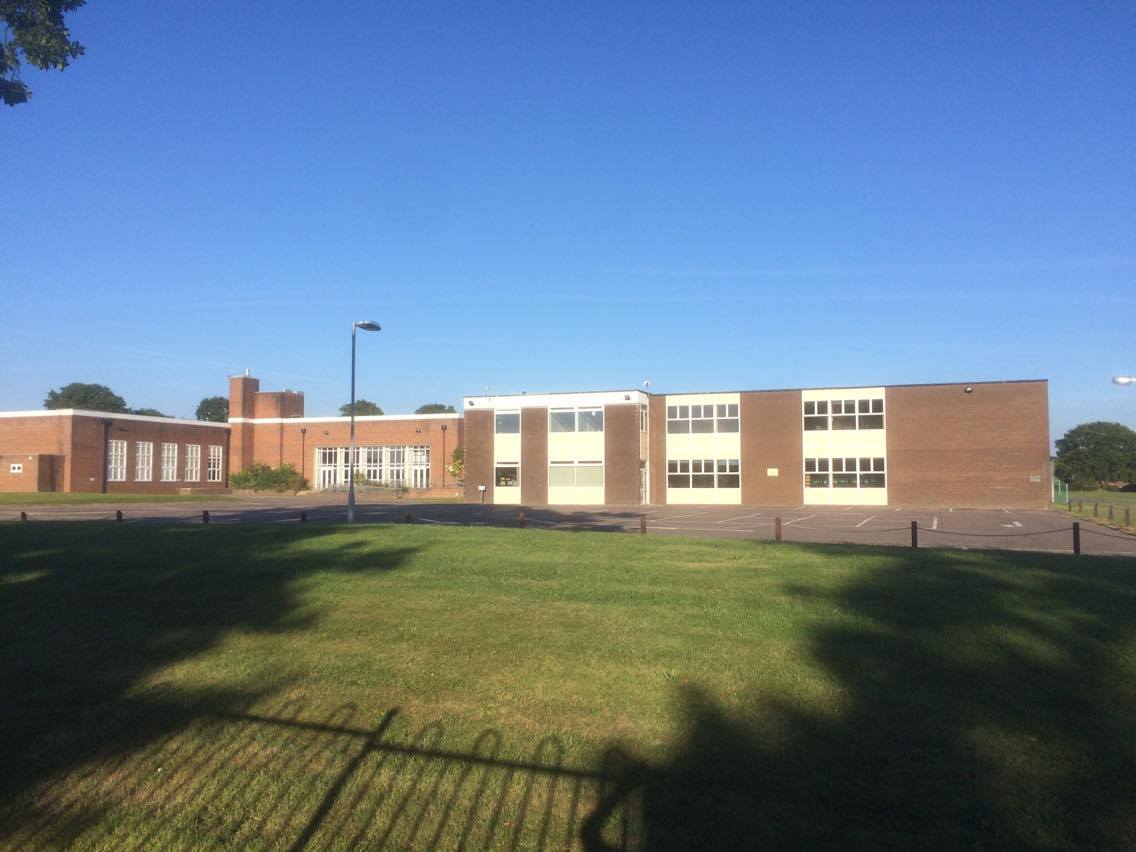 Forest academy show my homework 03 image