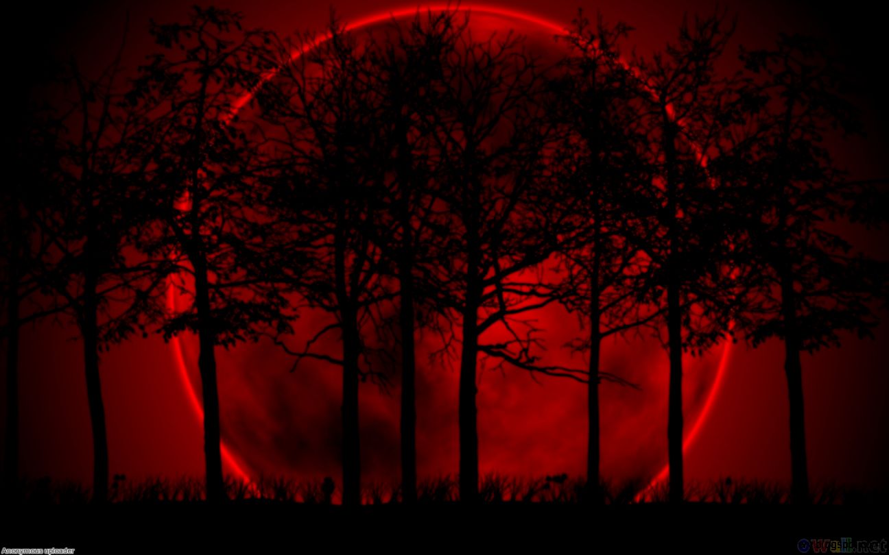 Full moon Red moon and Night on Pinterest