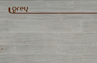 Arbor grey płytki 16,2x100 drewnopodobne Century
