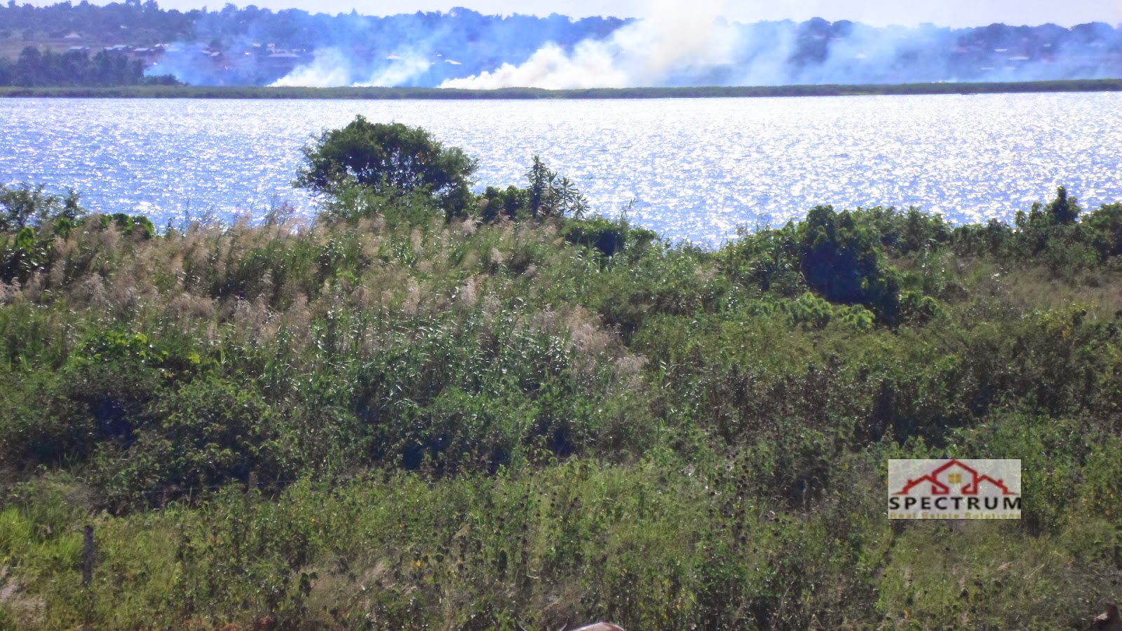 HOUSES FOR SALE KAMPALA, UGANDA WATERFRONT LAND FOR SALE LAKE VICTORIA