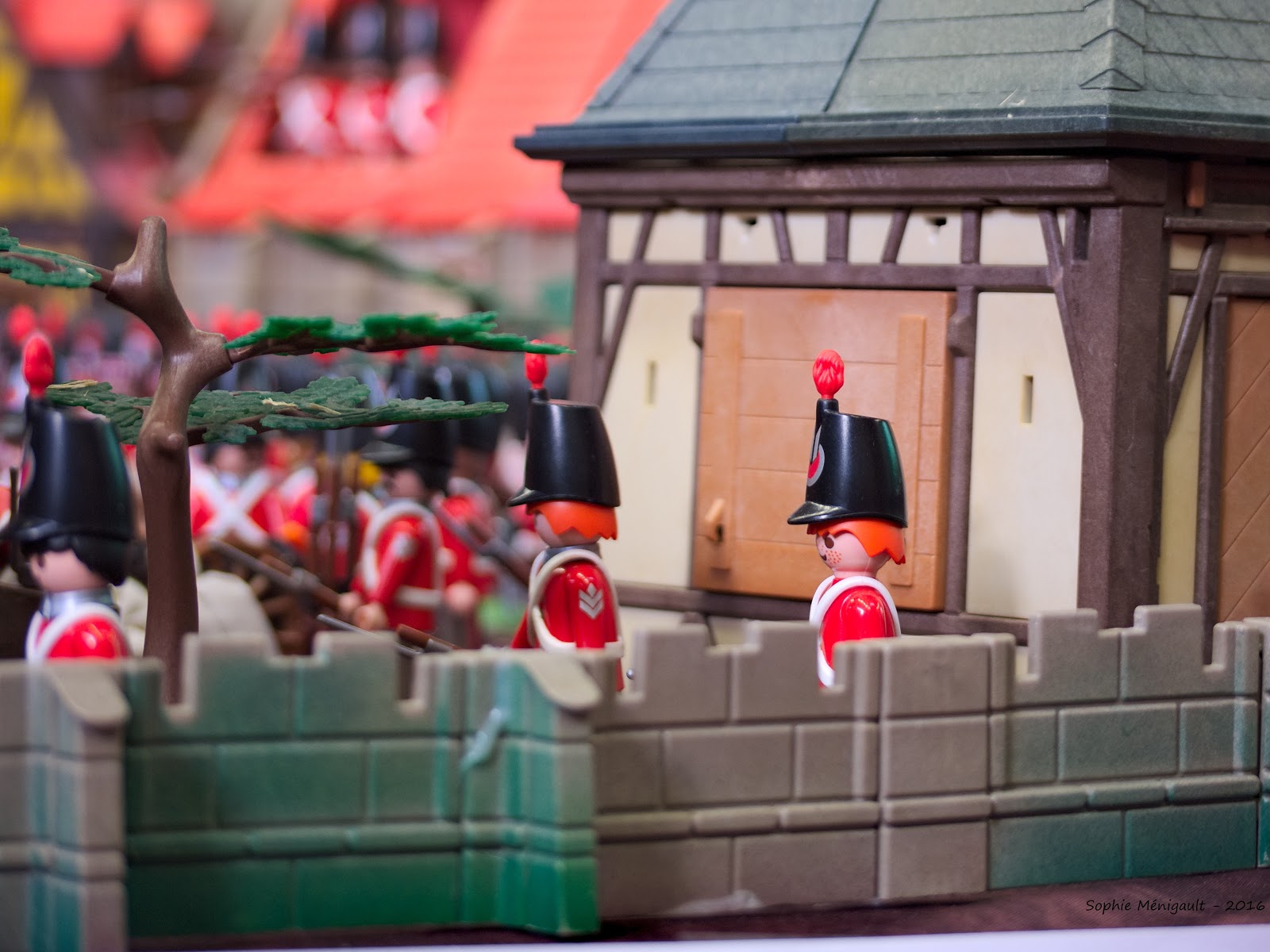 Les photos de Sophie: En avant les histoires