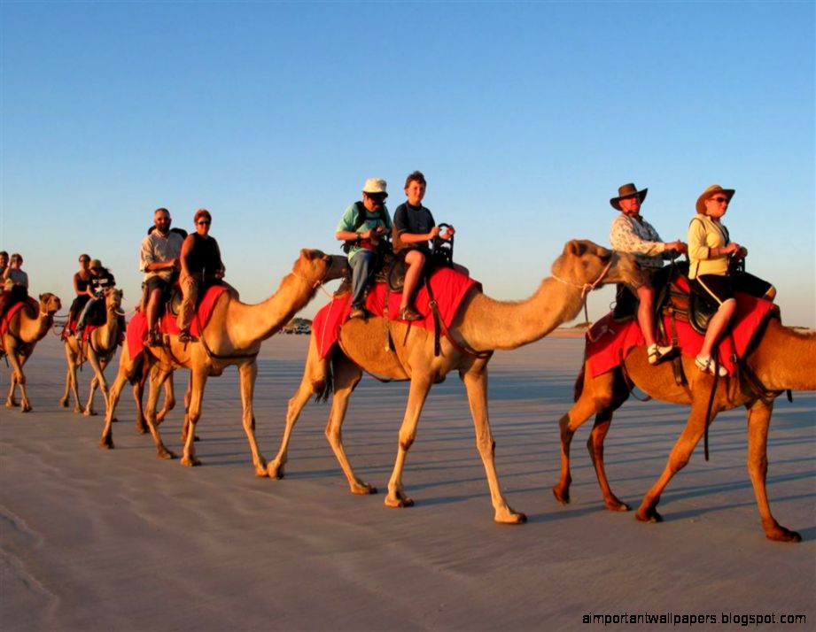 A Camel Ride   EPIC   How To Ride A Camel   PeerRush