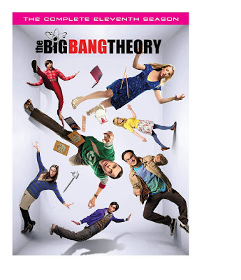 The Big Bang Theory Season 11 Dvd