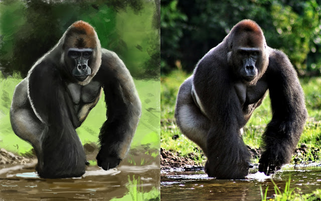 [Image: gorilla+study.jpg]