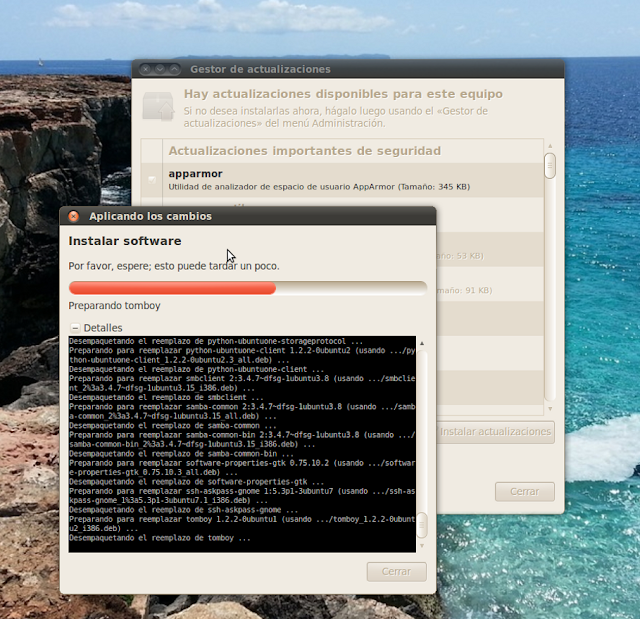 Optimizar actualizaciones en Ubuntu 10.04