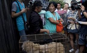 20.jun.2015 - Yang Xiaoyun, 63, negocia com vendedora para comprar cães durante o Festival de Carne de Cachorro de Yulin, no sul da China. A idosa já gastou mais de US$ 70 mil para salvar centenas de animais que virariam comida no evento