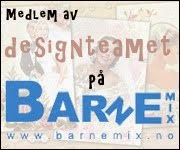 Barnemix Design Team