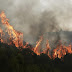 Un incendio devora 70 hectáreas de bosques en Matagalpa.