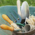 Gardening Tools You Must-Have as Beginner