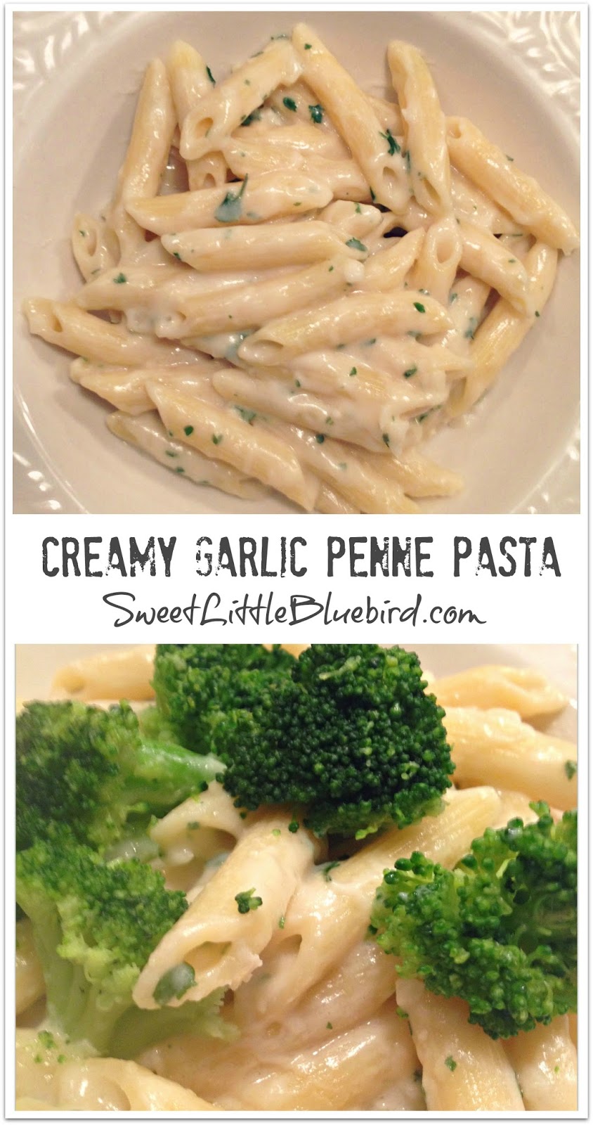 Sweet Little Bluebird Creamy Garlic Penne Pasta