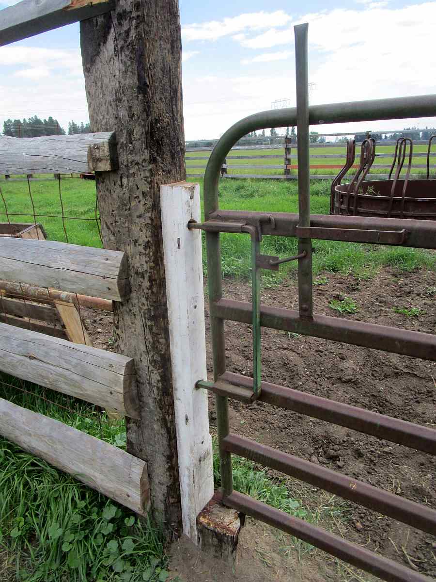 Life among the Tall Pines Corral gate replacement