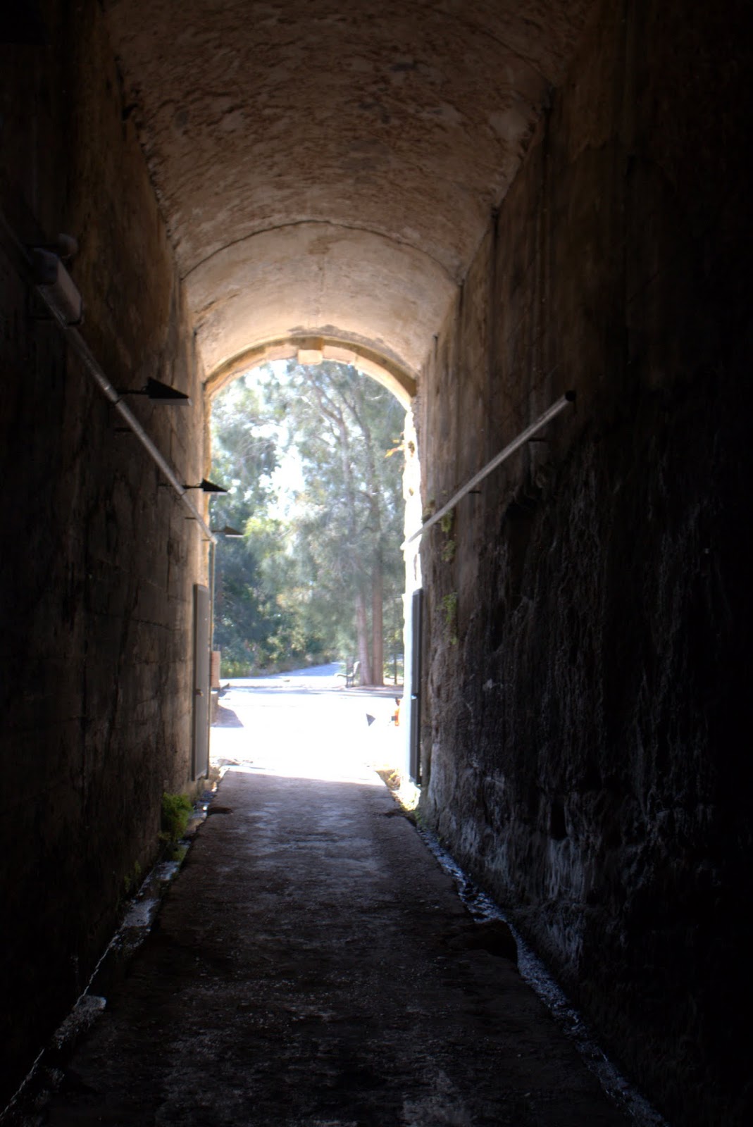 its just my life Balls Head to Berrys Bay