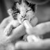 Νεογέννητα γατάκια παρατημένα σε χαρτόκουτο