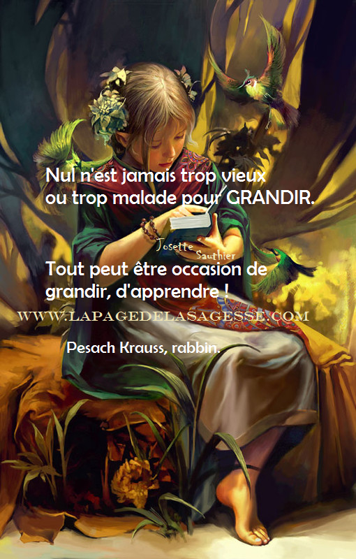 LES PANNEAUX ROSES Citation pour grandir