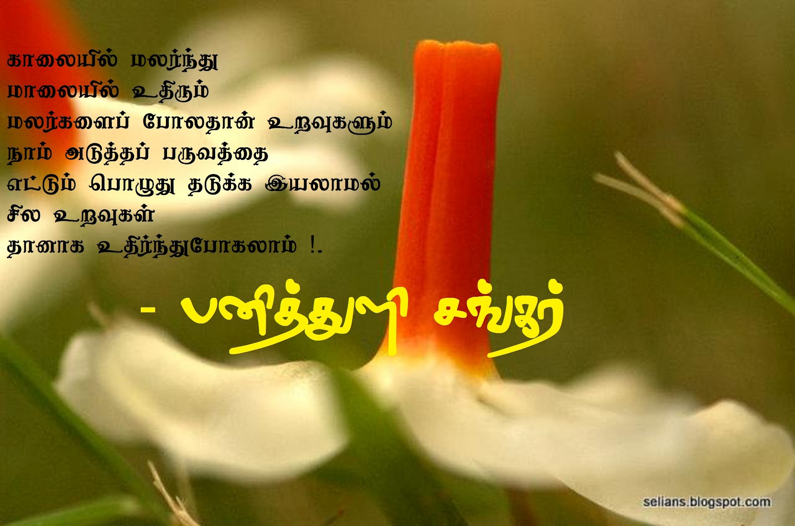 Tamil Kavithaigal - Tamil poet Panithuli shankar - காதல் கவிதைகள்