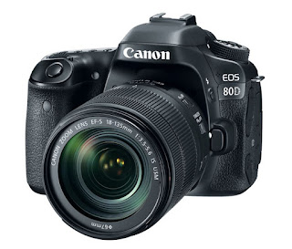Canon EOS 80D / EF 18-135mm IS USM Lens