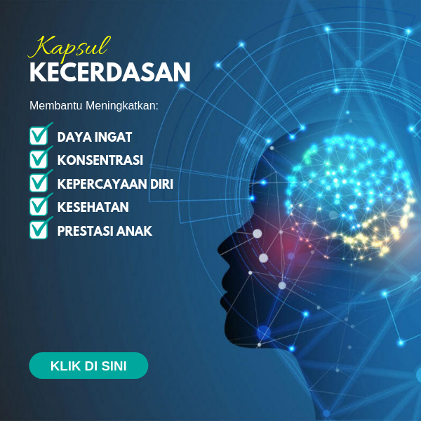 Kapsul kecerdasan