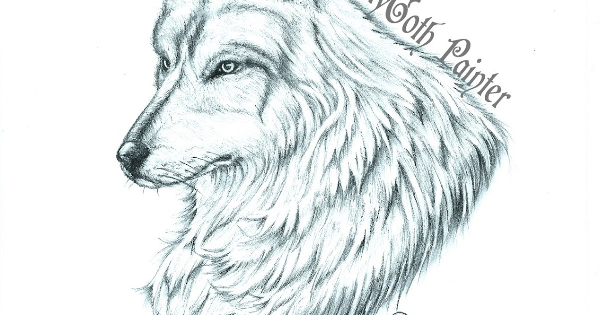 LadyGoth Painter: Dibujo a lapiz de Lobo
