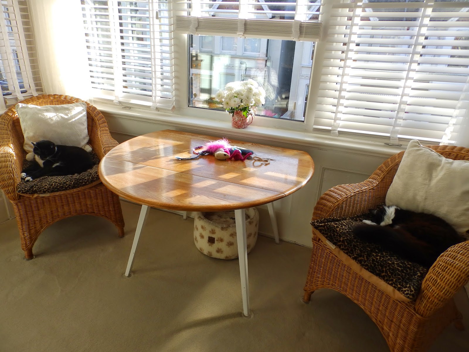 craftycatscorner SQUEEZED FOR THE LOVE OF CATS + NEW PATCHWORK HEART.