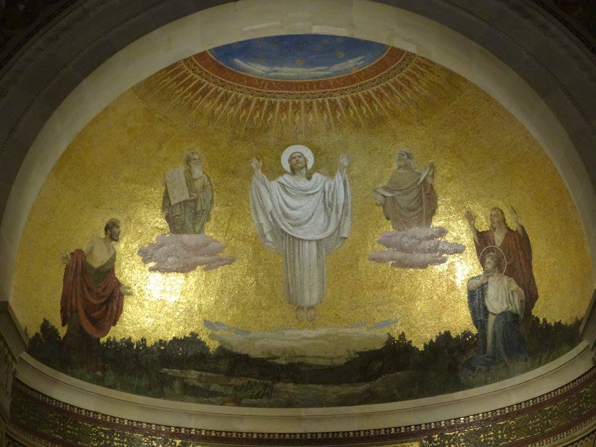 Servant and Steward: Homily - 12 March 2017 - Why did Jesus take Peter