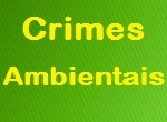Crimes ambientais Crimes ambientais
