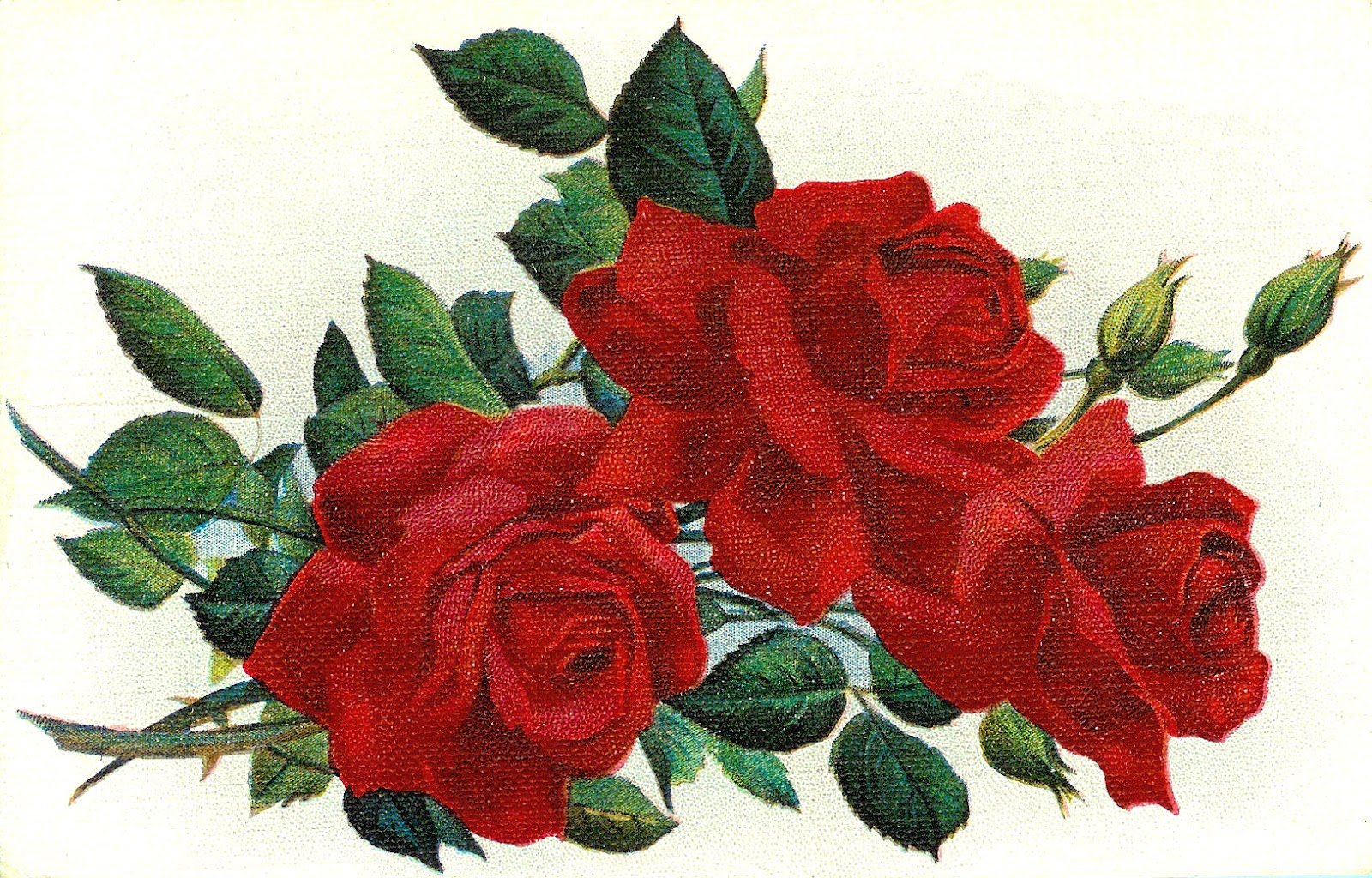 free clip art vintage roses - photo #32