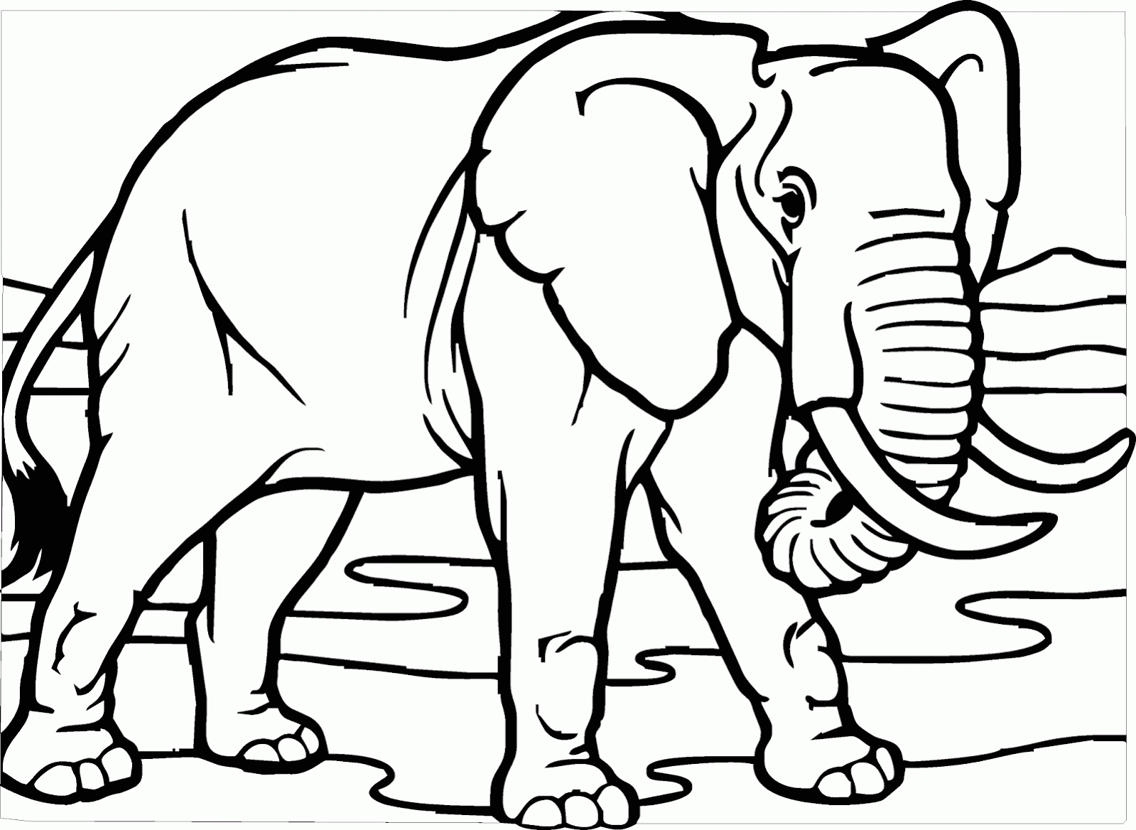Mewarnai Gambar Gajah Tampak Nyata Contoh Anak Paud