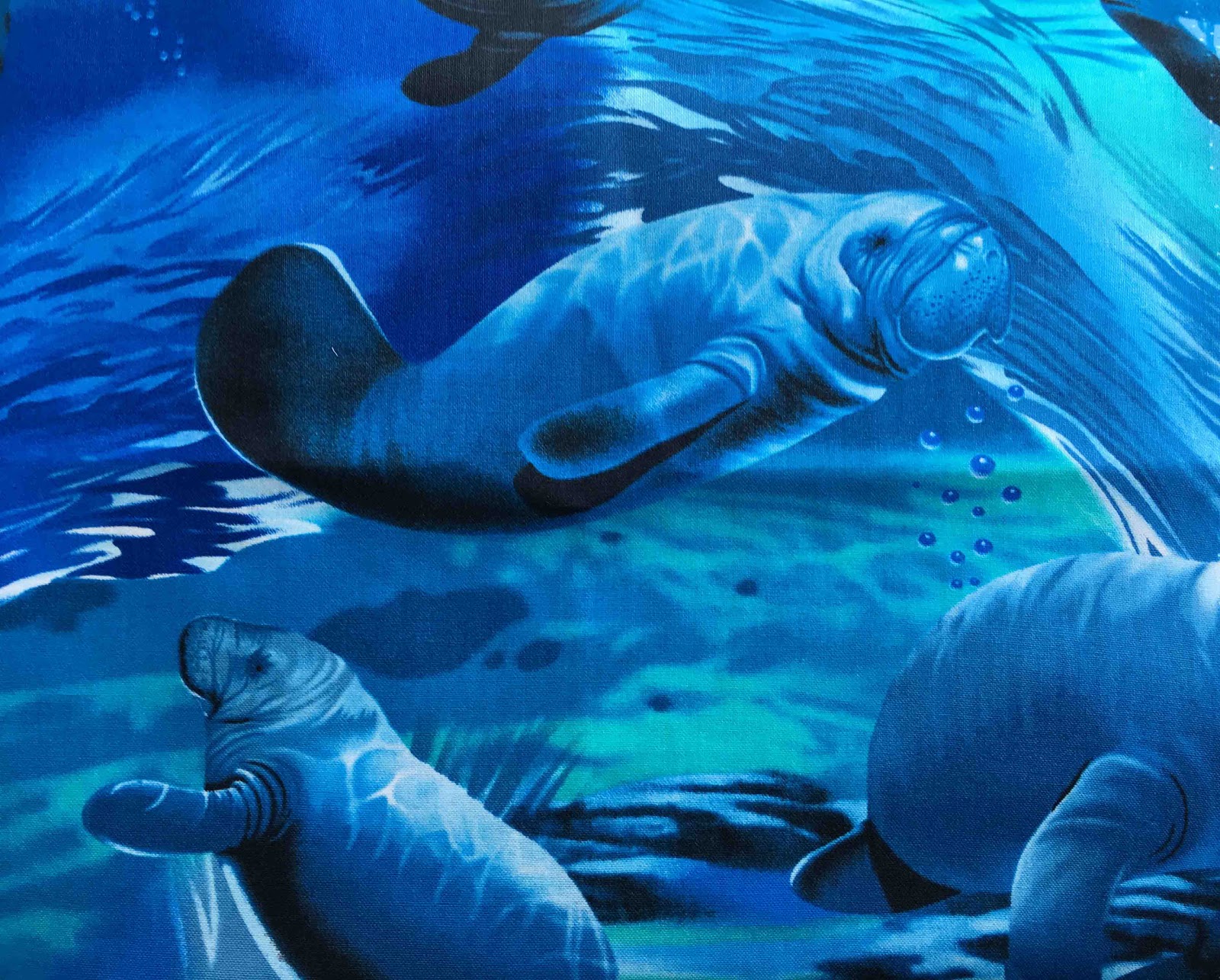 Cat Patches Quilt Shop Suwanee Valley Quilt Shop; Trenton, Florida