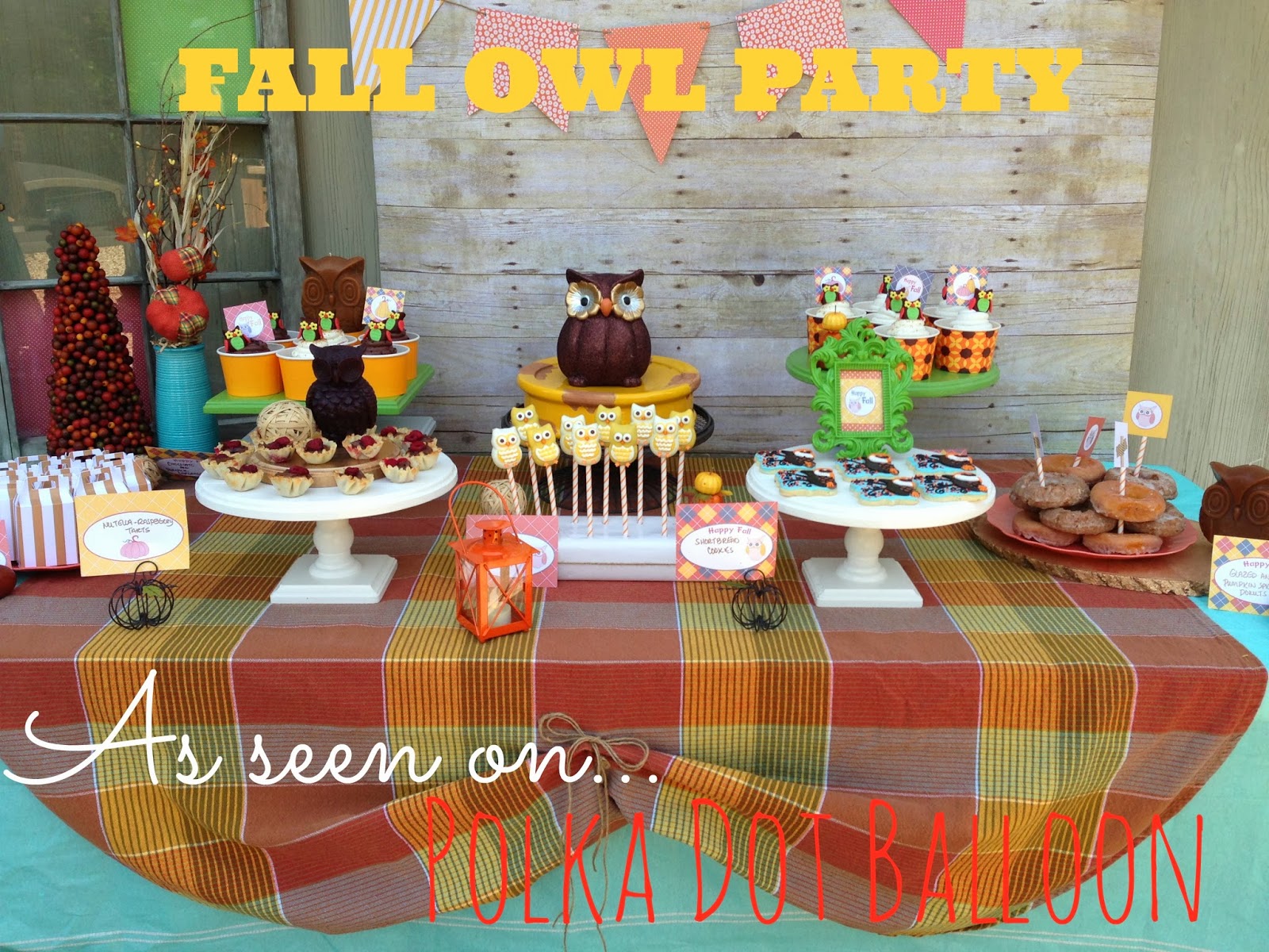 In Flight Party Ideas: Fall Owl Party as seen on Polka Dot Balloon Magazine