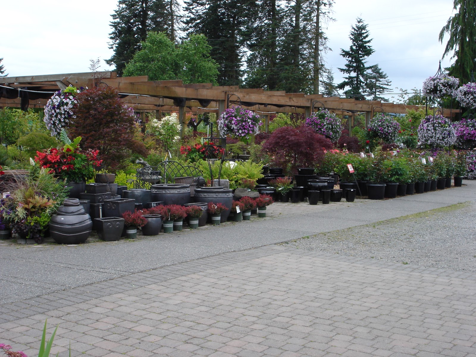 The Outlaw Gardener Vassey Nursery A family affair