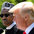 Trump Squeezed Small Win Out of Nigerian President's Visit