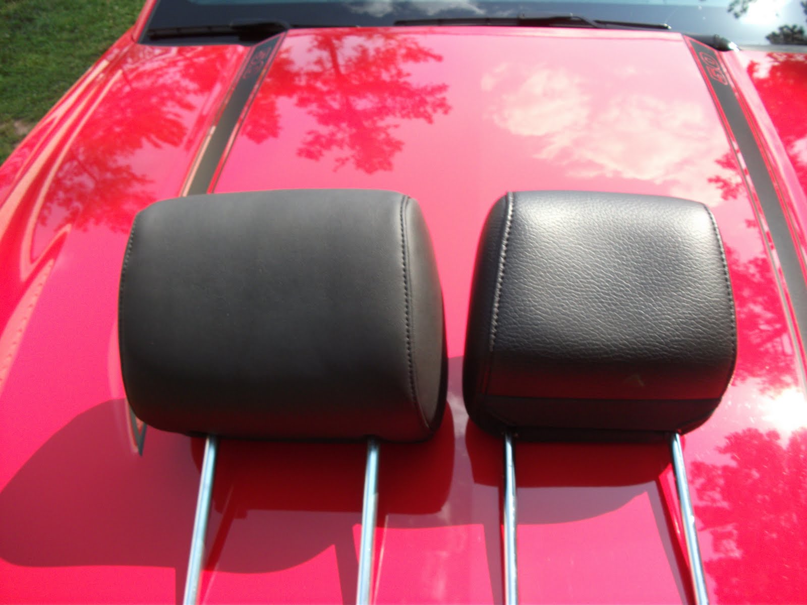 Last Refuge of a Scoundrel Headrests